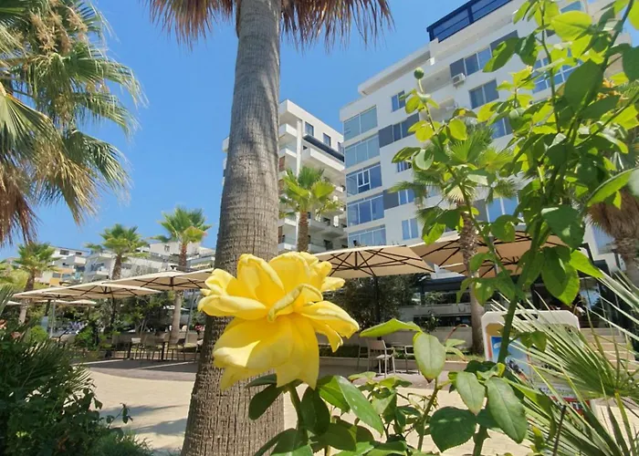 Flor De Mar Qerret *