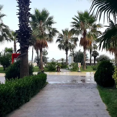 Flor De Mar Qerret * ゴーレム